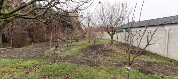 5 rooms House in Zurndorf, Austria No. 128964 19