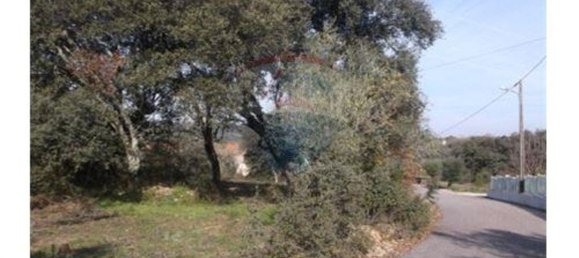 7800m² Land in Ferreira do Zezere, Portugal No. 90184 3