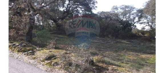 7800m² Land in Ferreira do Zezere, Portugal No. 90184 4