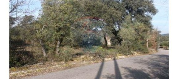 7800m² Land in Ferreira do Zezere, Portugal No. 90184 2