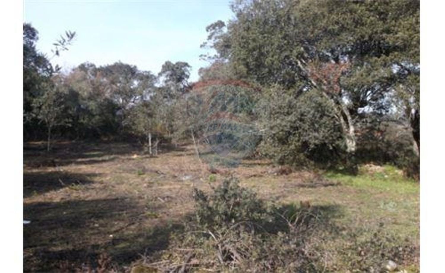 7800m² Land in Ferreira do Zezere, Portugal No. 90184
