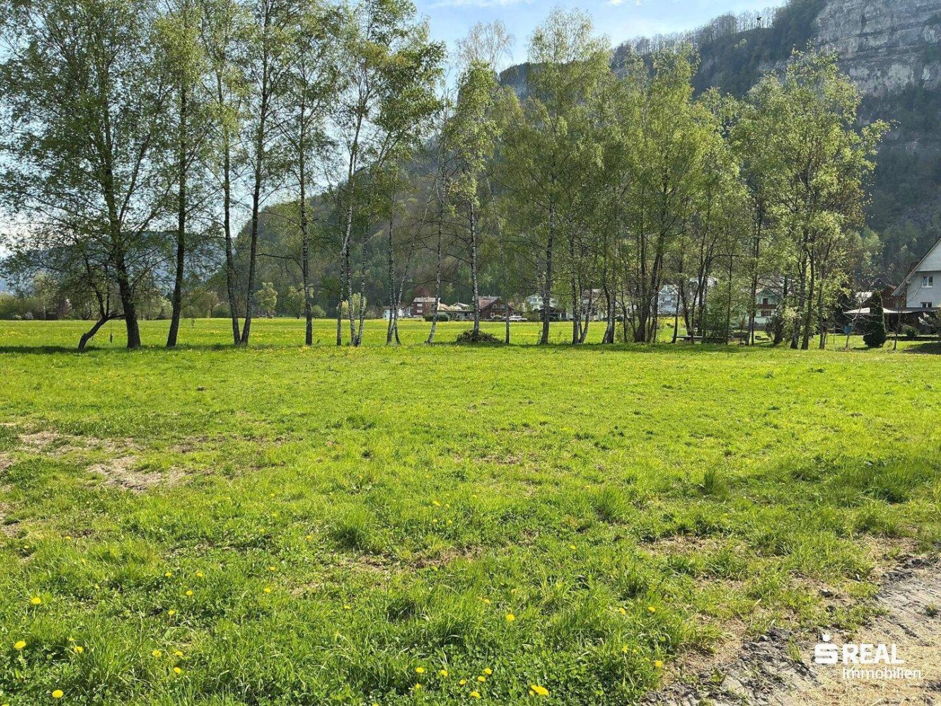 Grundstück in Hohenems, Austria 3187m², Nr. 166261