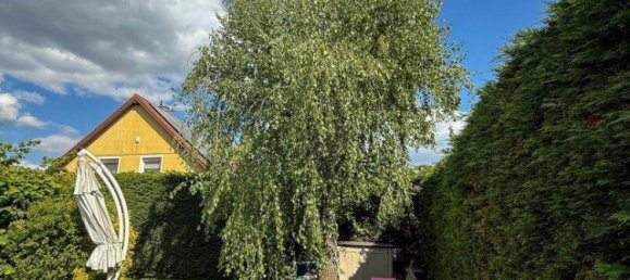 4-Zimmer Stadthaus in Gerasdorf bei Wien, Austria, Nr. 170230 8