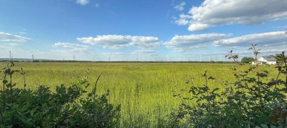 4-Zimmer Stadthaus in Gerasdorf bei Wien, Austria, Nr. 170230 4