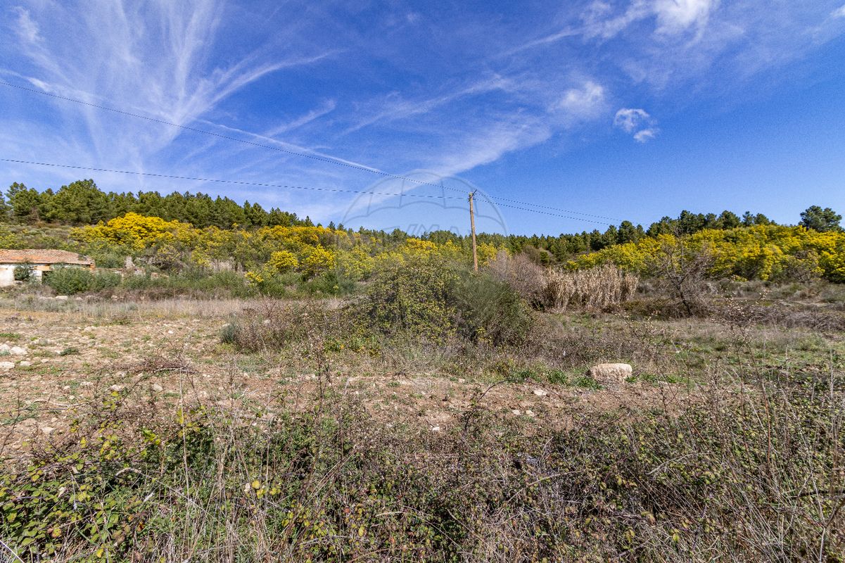 7500m² Land in Macainhas, Portugal No. 70060