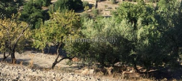 4غرفة منزل في Modica, Italy رقم 231254 25