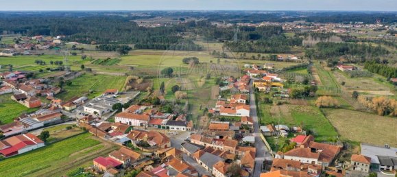 1 bedroom House in Sao Lourenco do Bairro, Portugal No. 162953 25