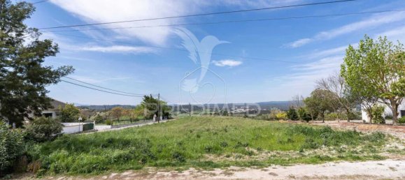 5 bedrooms House in Santarem, Portugal No. 131225 9