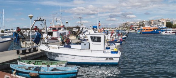 Apartamento de 2 dormitorios en Gran Alacant, Spain No. 3626 20