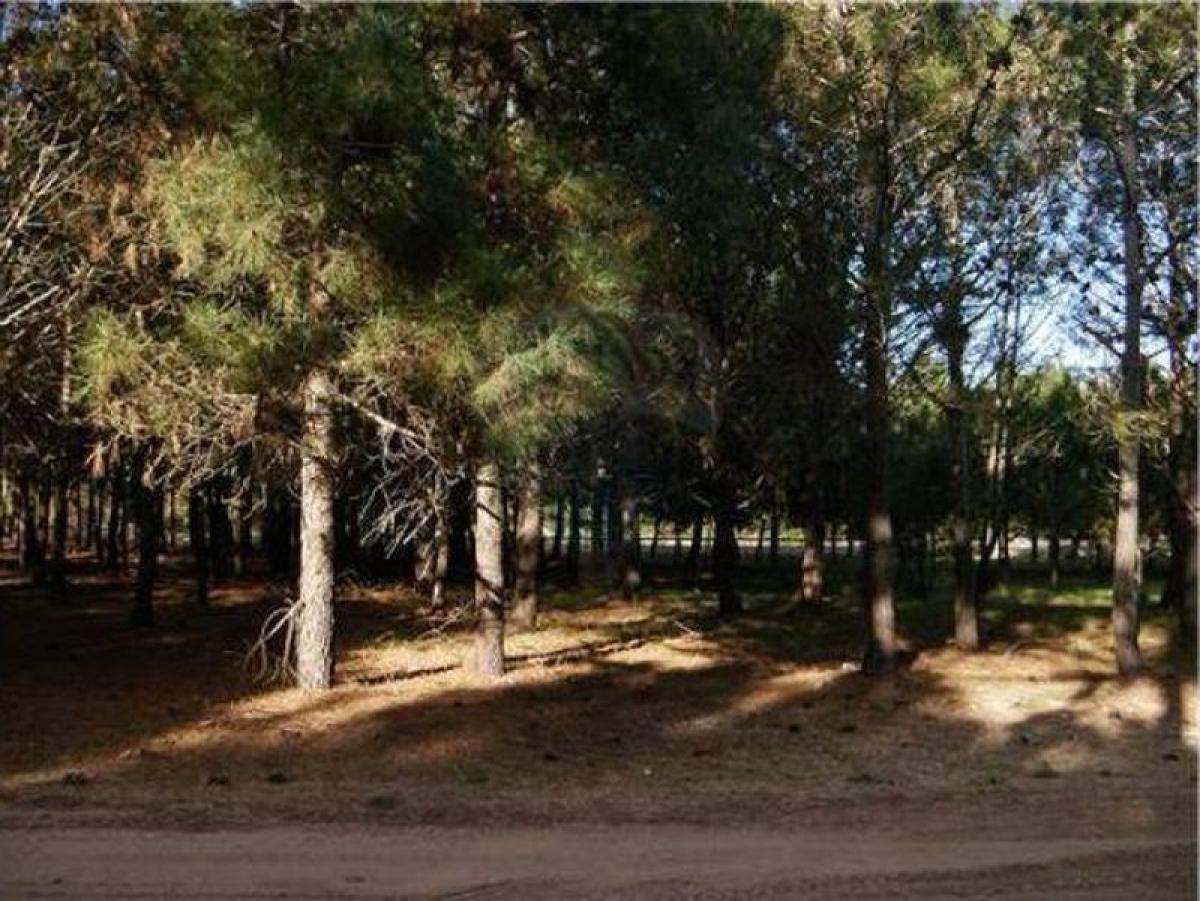  Land in Mar del Plata, Argentina No. 121267