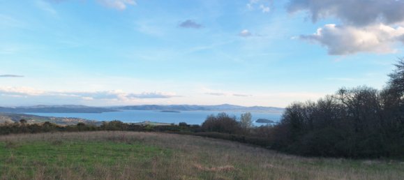 Terrain à Tuoro sul Trasimeno, Italy 130000m² No. 153823 2