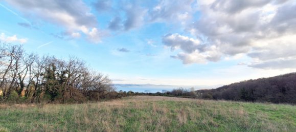 Terrain à Tuoro sul Trasimeno, Italy 130000m² No. 153823 4