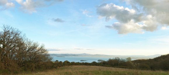 Terrain à Tuoro sul Trasimeno, Italy 130000m² No. 153823 5