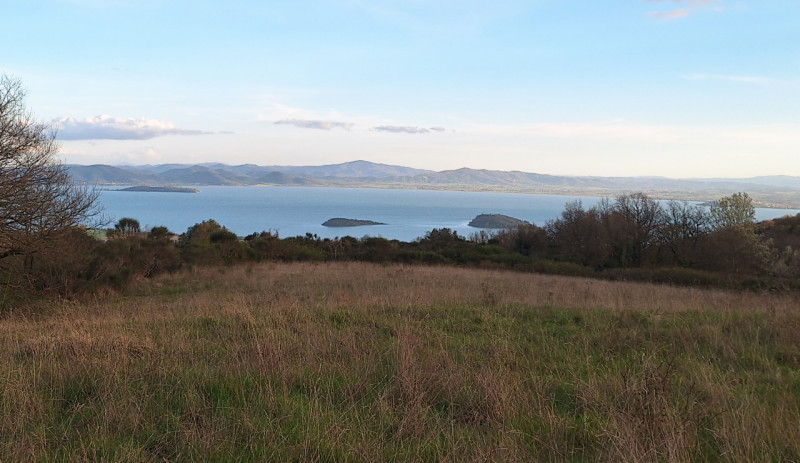 Terrain à Tuoro sul Trasimeno, Italy 130000m² No. 153823