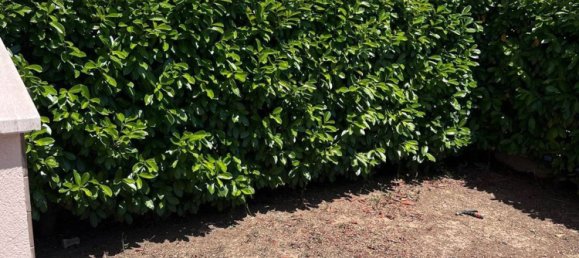 Apartamento de 5 divisões em Rosciano, Italy N.º 299031 30