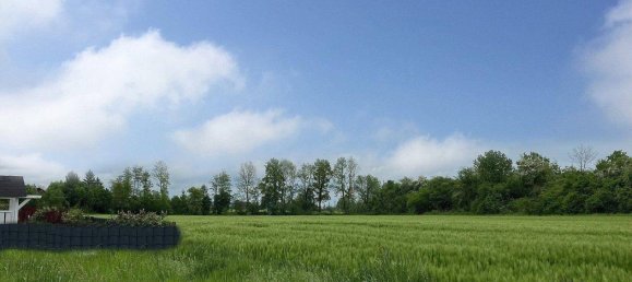 Terreno em Taufkirchen an der Pram, Austria N.º 95677 3