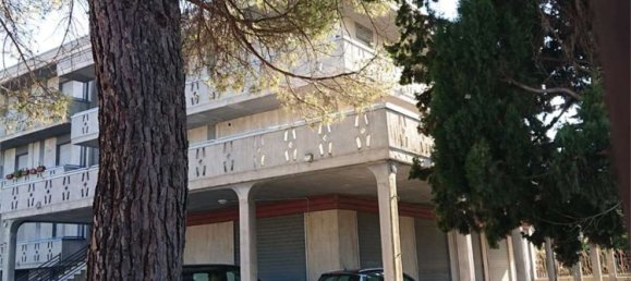 3-Zimmer Wohnung in Controguerra, Italy, Nr. 98315 31