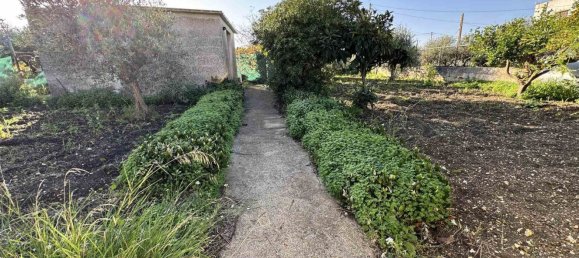 3-Zimmer Haus in Valderice, Italy, Nr. 40545 12