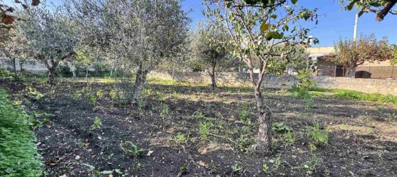 3-Zimmer Haus in Valderice, Italy, Nr. 40545 24