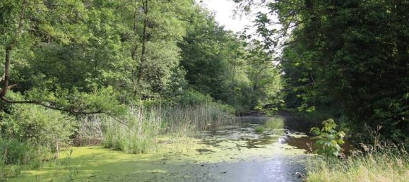 3 bedrooms House in Harburg, Germany No. 145979 34