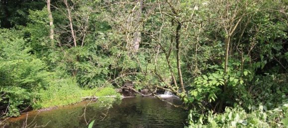 3 bedrooms House in Harburg, Germany No. 145979 33