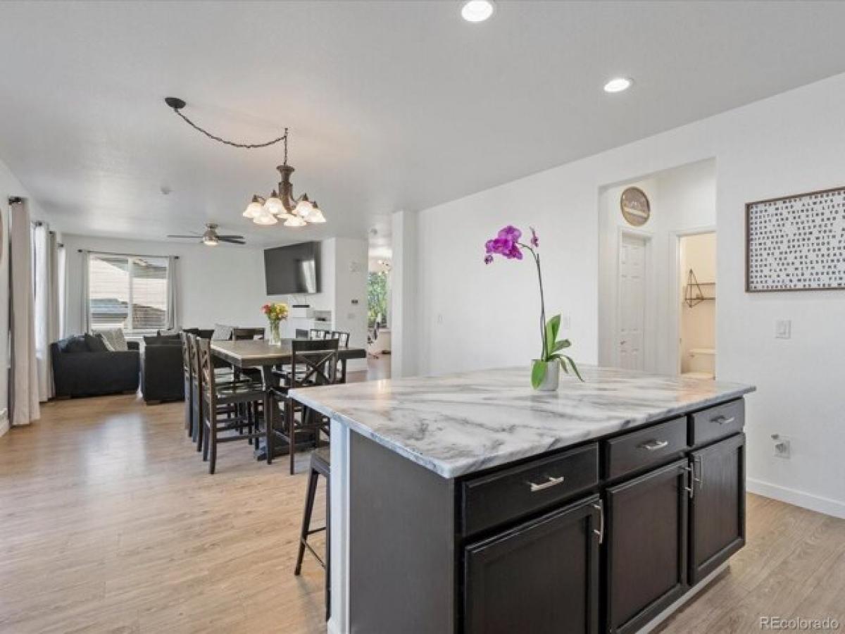 5 bedrooms House in Brighton, USA No. 378785