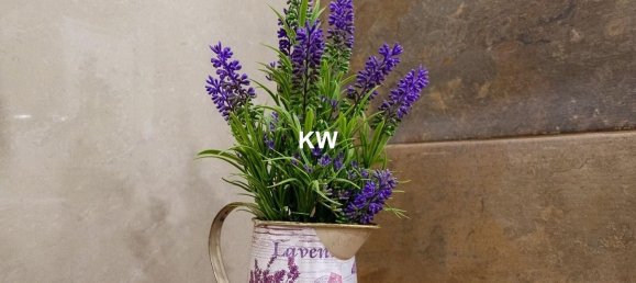 3 Schlafzimmer Haus in Porto, Portugal, Nr. 50034 31