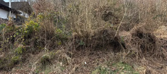 Terreno em Altenkirchen, Germany N.º 175108 3