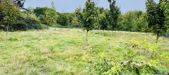 5 Schlafzimmer Stadthaus in Soest, Germany, Nr. 295909 6