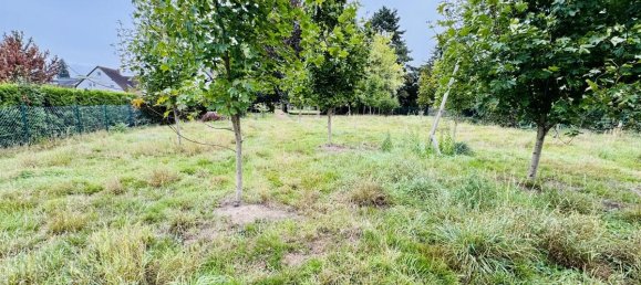 5 Schlafzimmer Stadthaus in Soest, Germany, Nr. 295909 8