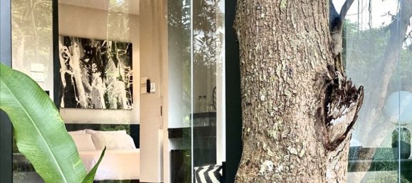 8 bedrooms House in Chiang Mai, Thailand No. 27000 11