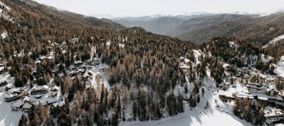  Land in Reichenau, Austria No. 42662 3