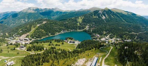  Land in Reichenau, Austria No. 42662 4