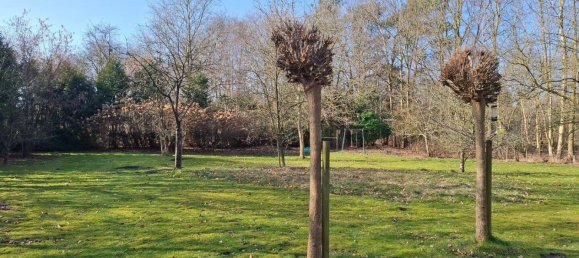 6-salle Maison à Leer, Germany No. 129347 10