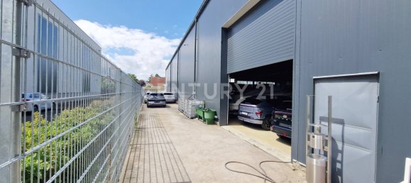 40 rooms Building in Mainz-Bingen, Germany No. 132548 5