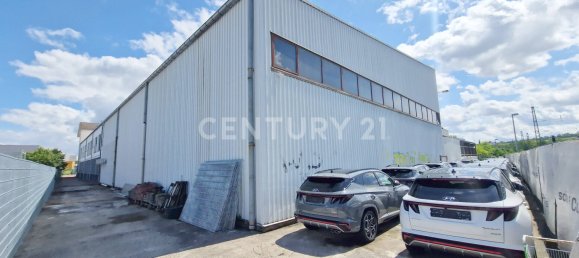 40 rooms Building in Mainz-Bingen, Germany No. 132548 4