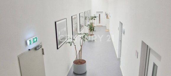 40 rooms Building in Mainz-Bingen, Germany No. 132548 10