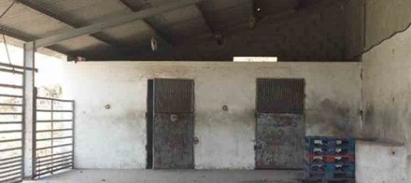 6 Schlafzimmer Haus in Coin, Spain, Nr. 141848 6