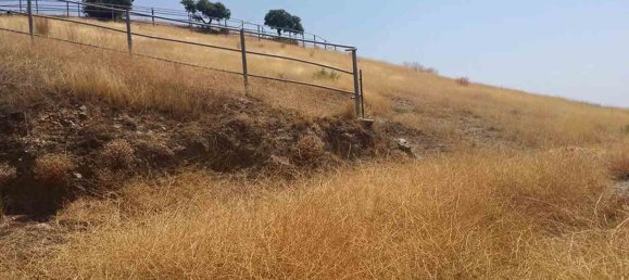 6 Schlafzimmer Haus in Coin, Spain, Nr. 141848 10