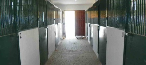 6 Schlafzimmer Haus in Coin, Spain, Nr. 141848 7