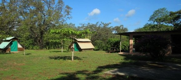 235m² Hotel in Liberia, Costa Rica No. 1323 6