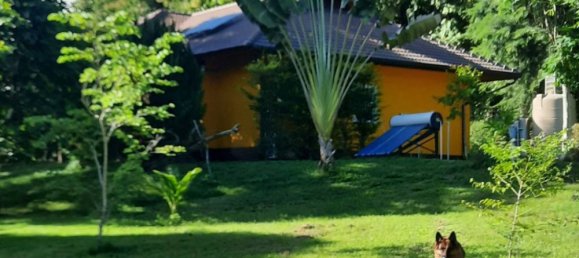 3 bedrooms Cafe / restaurant in Mae Taeng, Thailand No. 16260 8