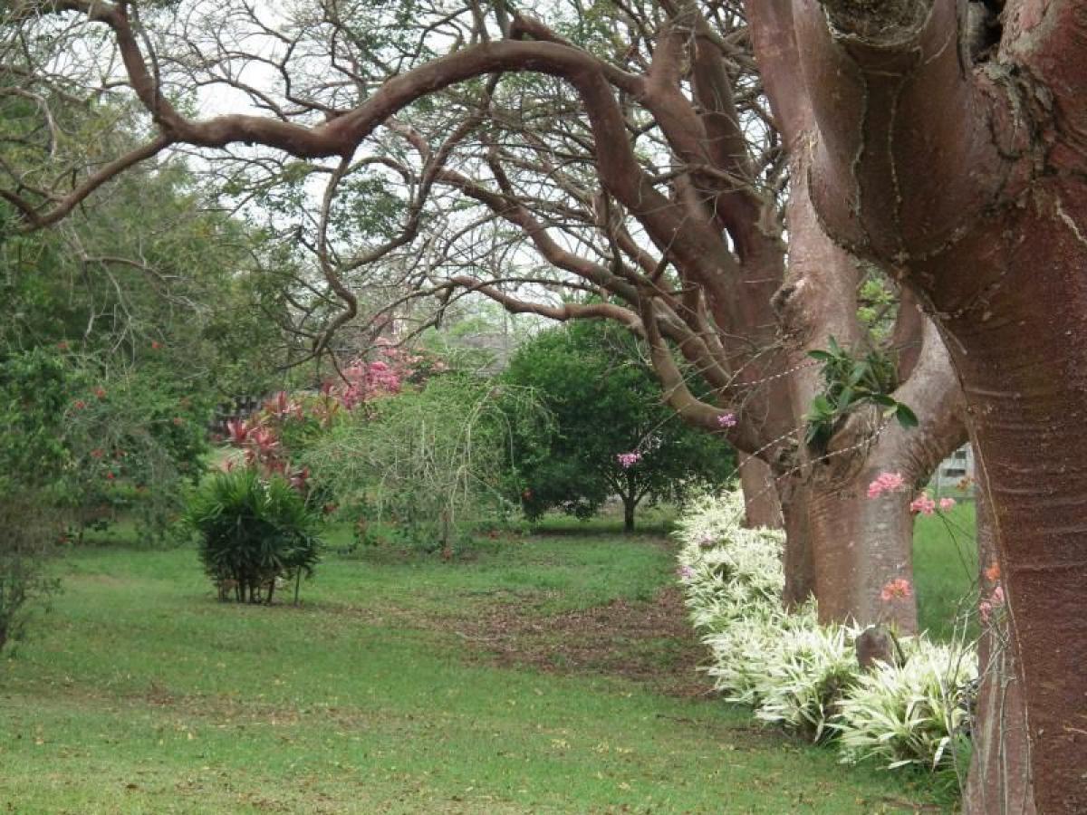 Дом с 3 спальнями в Тихуана, Мексика № 172330