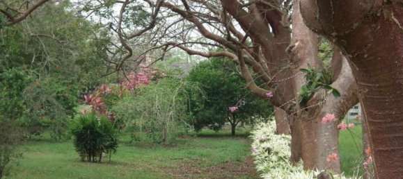 Дом с 3 спальнями в Тихуана, Мексика № 172330 2