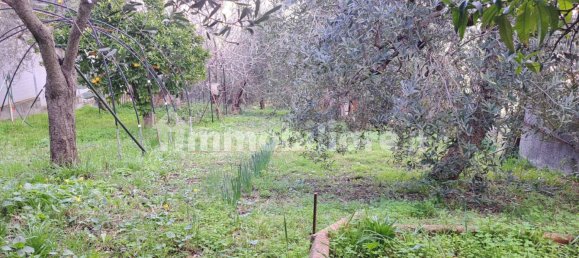 3 Schlafzimmer Wohnung in Ortona, Italy, Nr. 43150 32