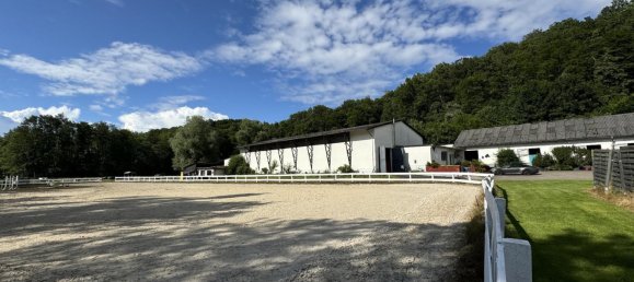 Quinta de 9 divisões em Altenkirchen, Germany N.º 316295 17