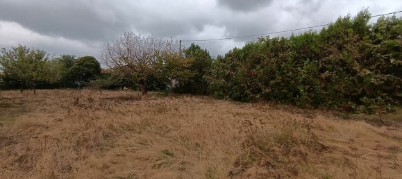 3 غرف نوم منزل في Haute-Garonne, France رقم 353832 11