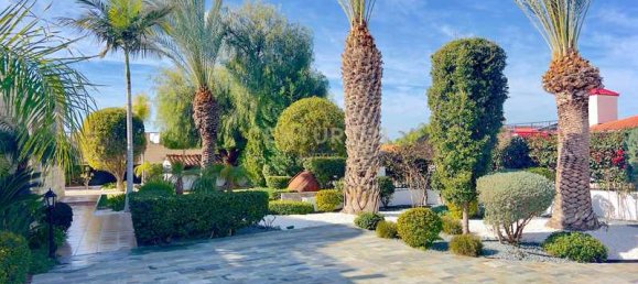 Вилла с 3 спальнями в Пейя, Кипр № 20460 12