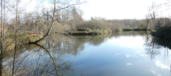 3 Schlafzimmer Haus in Saint-Gondon, France, Nr. 152582 14