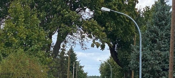 Moradia em banda T7 em Ostprignitz-Ruppin, Germany N.º 115175 13